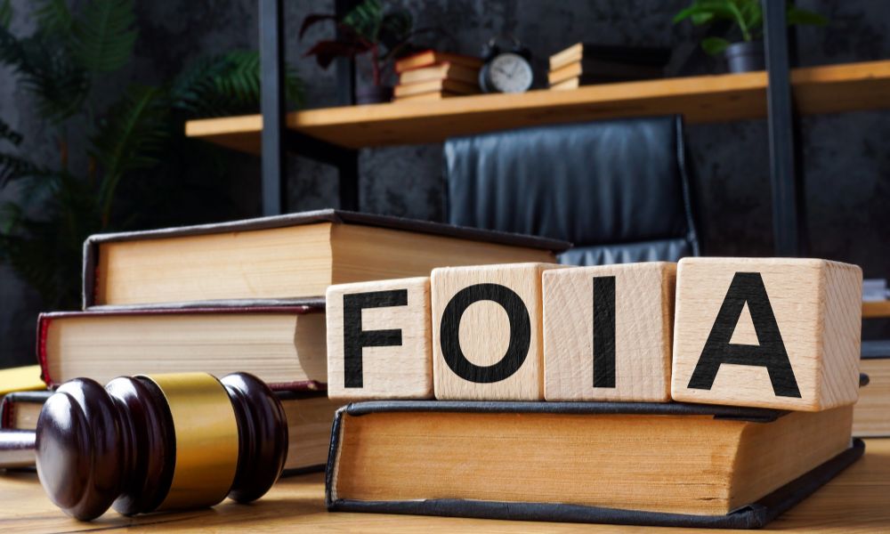 FOIA and Privacy Concerns: Balancing Access and Protection