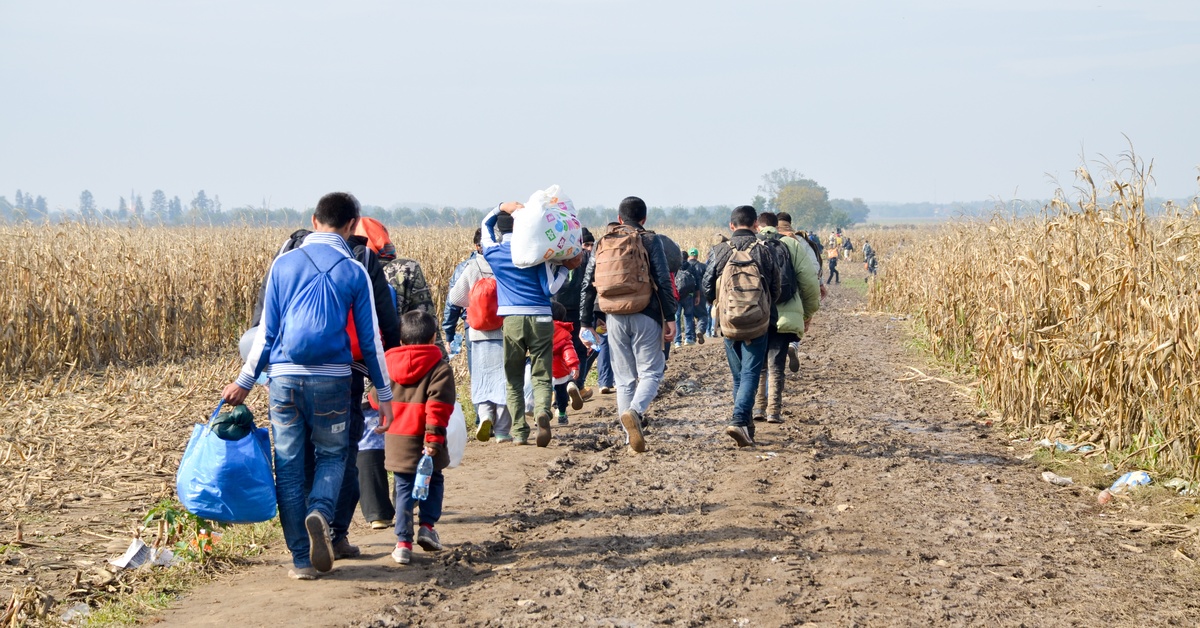 Migrants and refugees with heavy backpacks walk through a field of dry corn stalks.