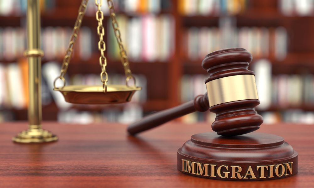 What Causes Delays in the Immigration Process?