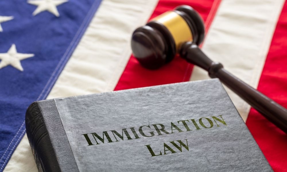 Immigration Lawyer